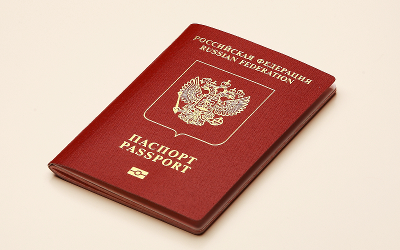 загранпаспорт сведения о трудовой деятельности	
